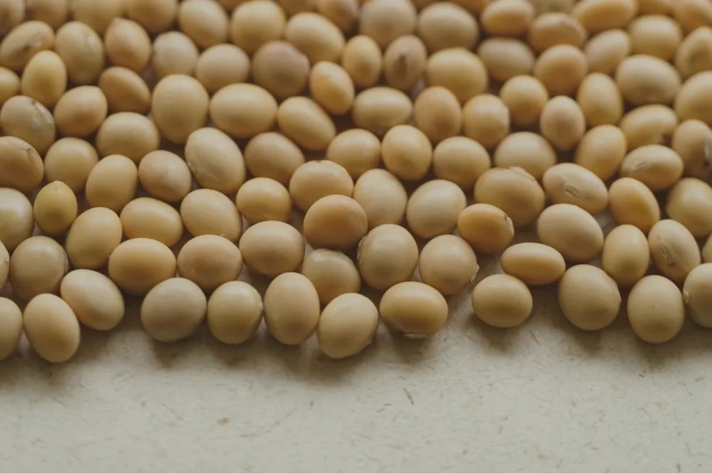 Close-up of numerous beige soybeans scattered on a textured, off-white surface. The composition appears natural and earthy.