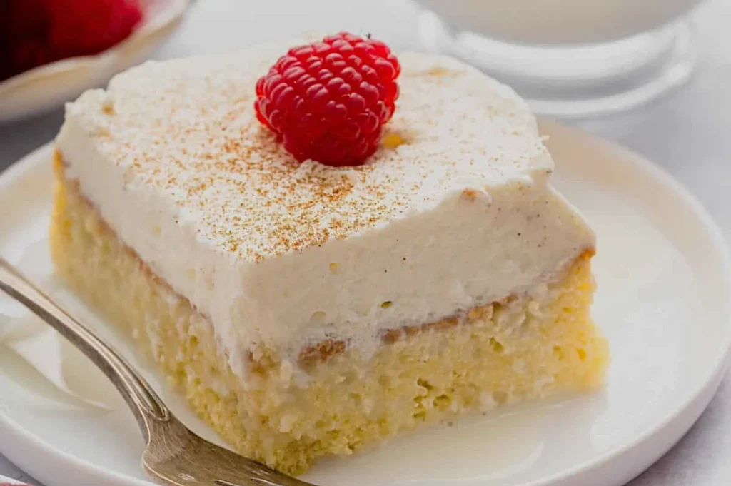 A piece of layered dessert topped with cream, a raspberry, and a dusting of cinnamon on a white plate.